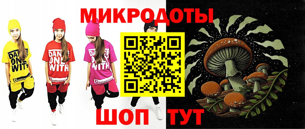 Галлюциногенные грибы Psilocybine cubensis Гудермес