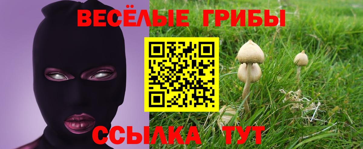 Гудермес  наркотики  Вход с VPN  Галлюциногенные грибы MAGIC MUSHROOMS 