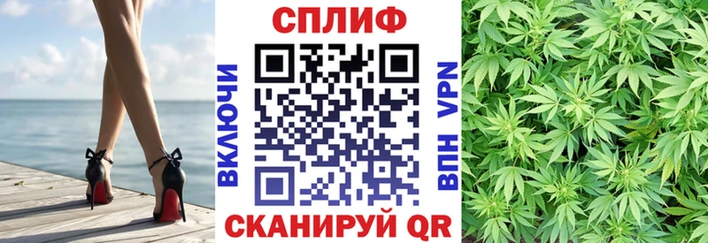 Бошки марихуана White Widow  закладка  Гудермес 